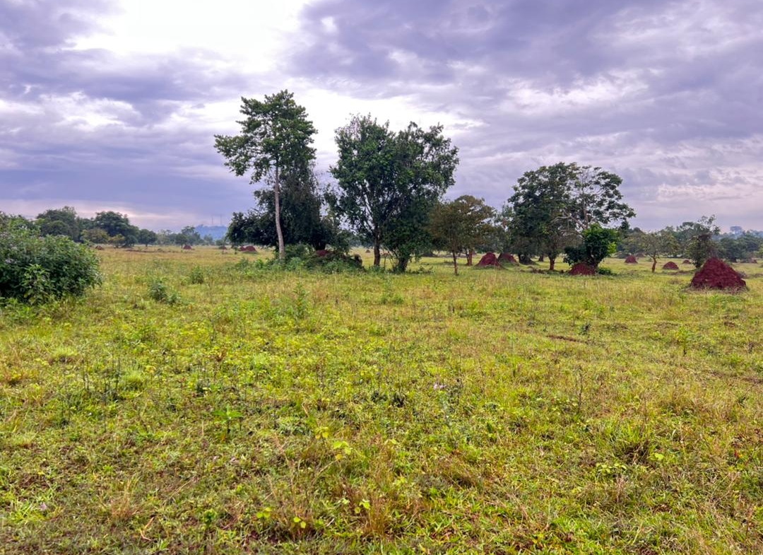 This land for sale in Buwama on Masaka road Uganda