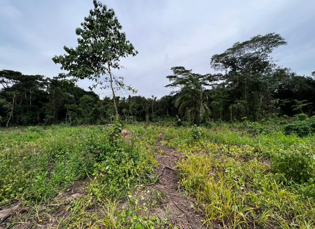 This land for sale in Bulamu Mityana road 