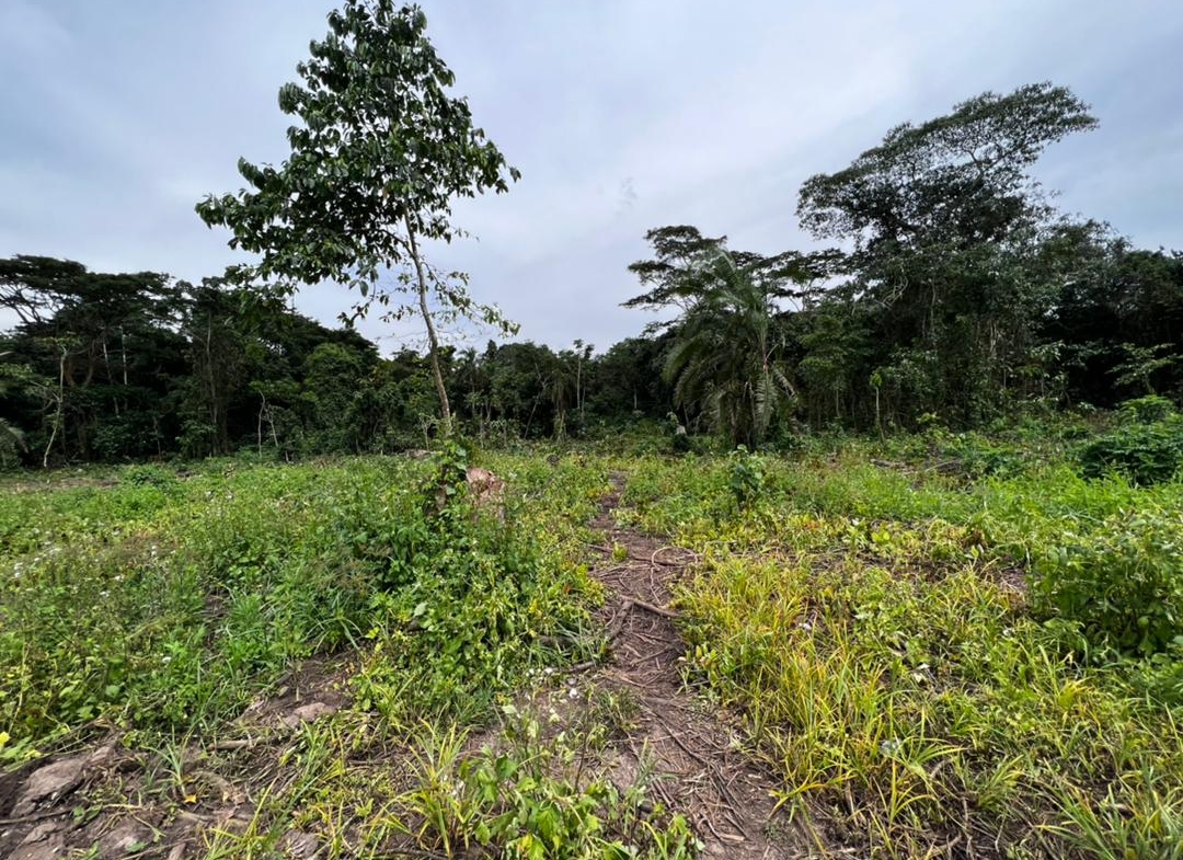 This land for sale in Bulamu Mityana road 