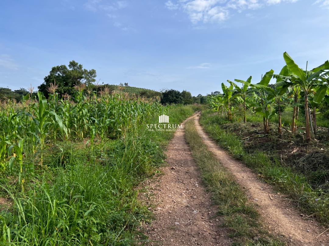 This land for sale in Matte Busunju Mityana District