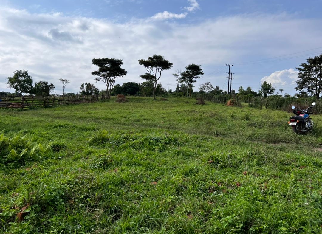 This farmland for sale in Nakaseeta Mityana