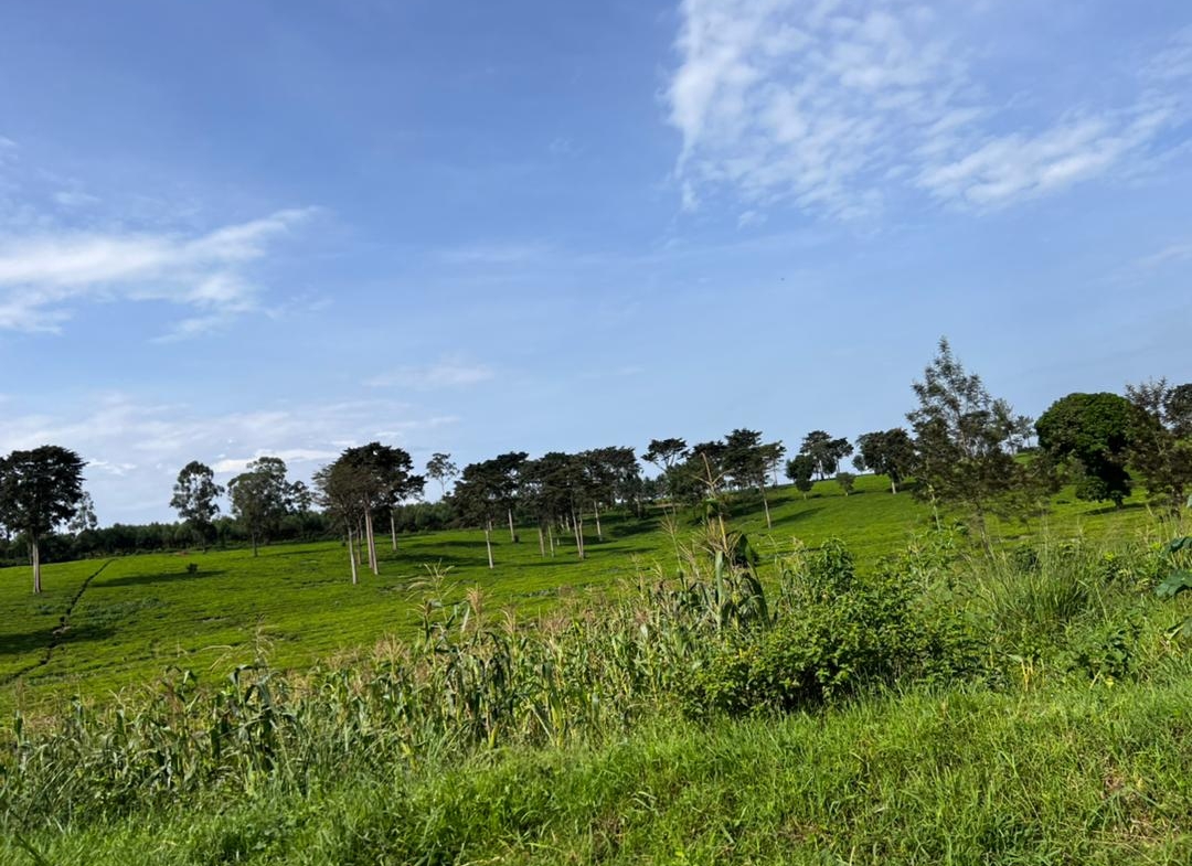 This farmland for sale in Nakaseeta Mityana