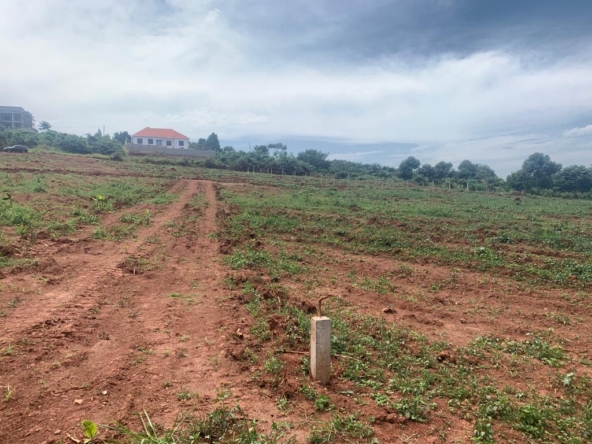 Cheap plots for sale in Kisubi Wamala Entebbe road