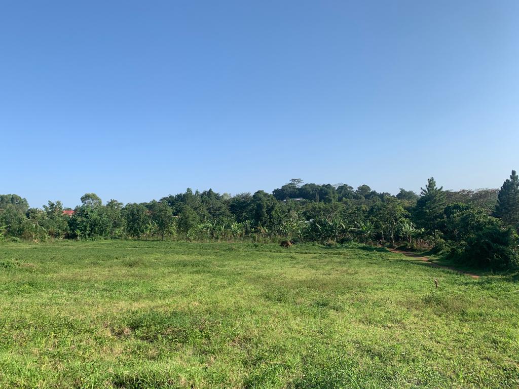 Plots for sale in Kyetume Mukono