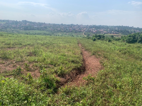These cheap plots foe sale in Nsambwe Mukono