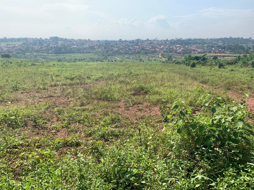 These cheap plots foe sale in Nsambwe Mukono