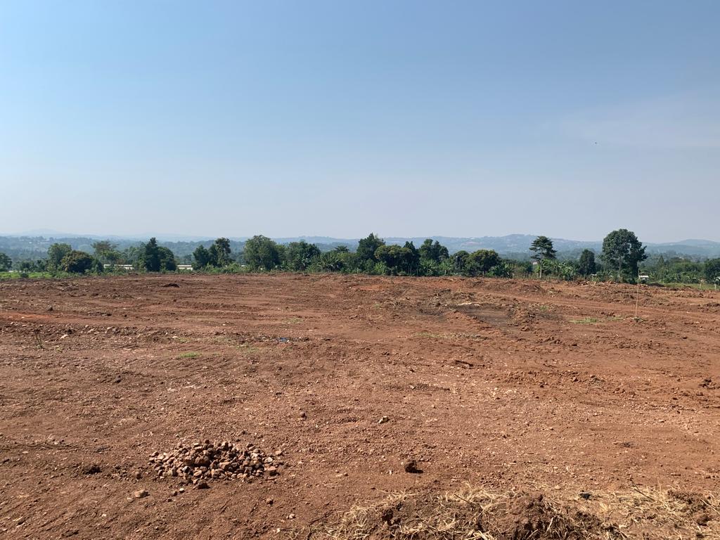 These cheap plots for sale in Dundu Gayaza