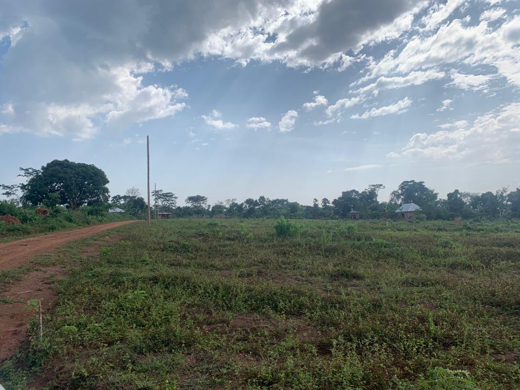 These cheap plots for sale in Mukono