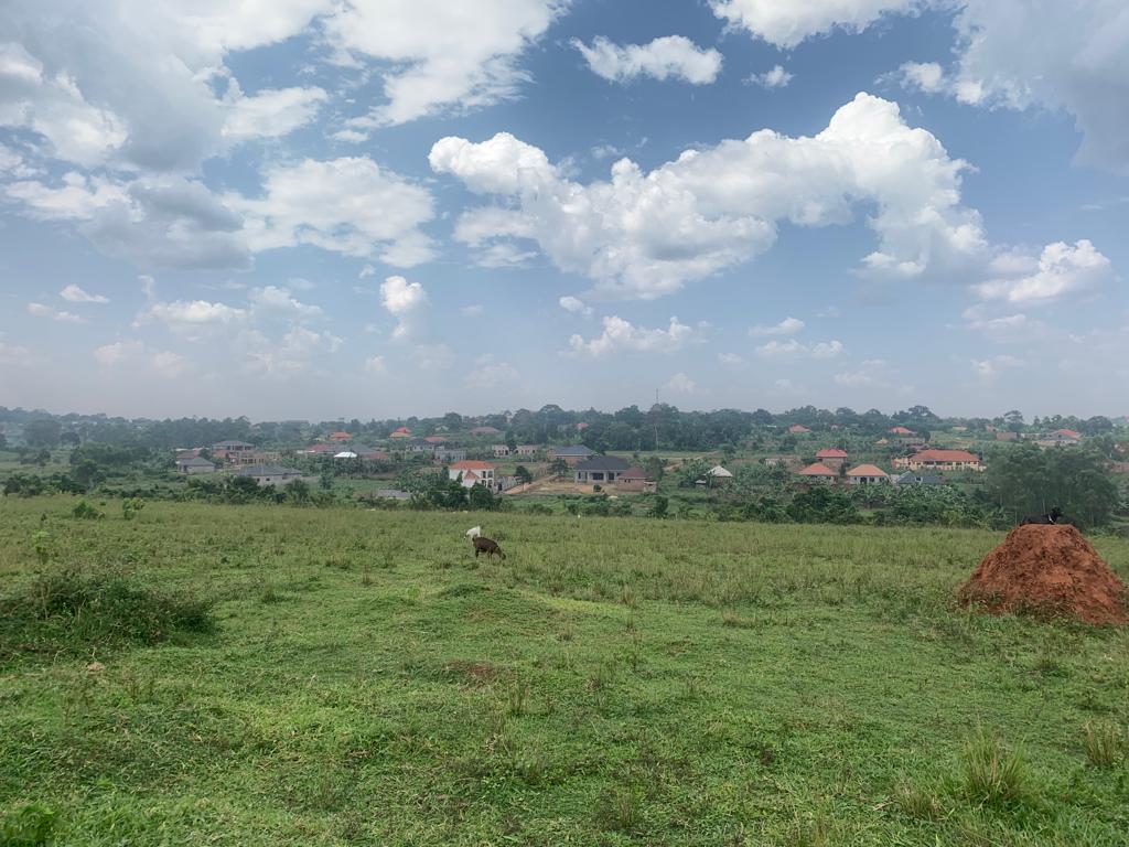 These cheap plots for sale in in Gayaza Nakwero