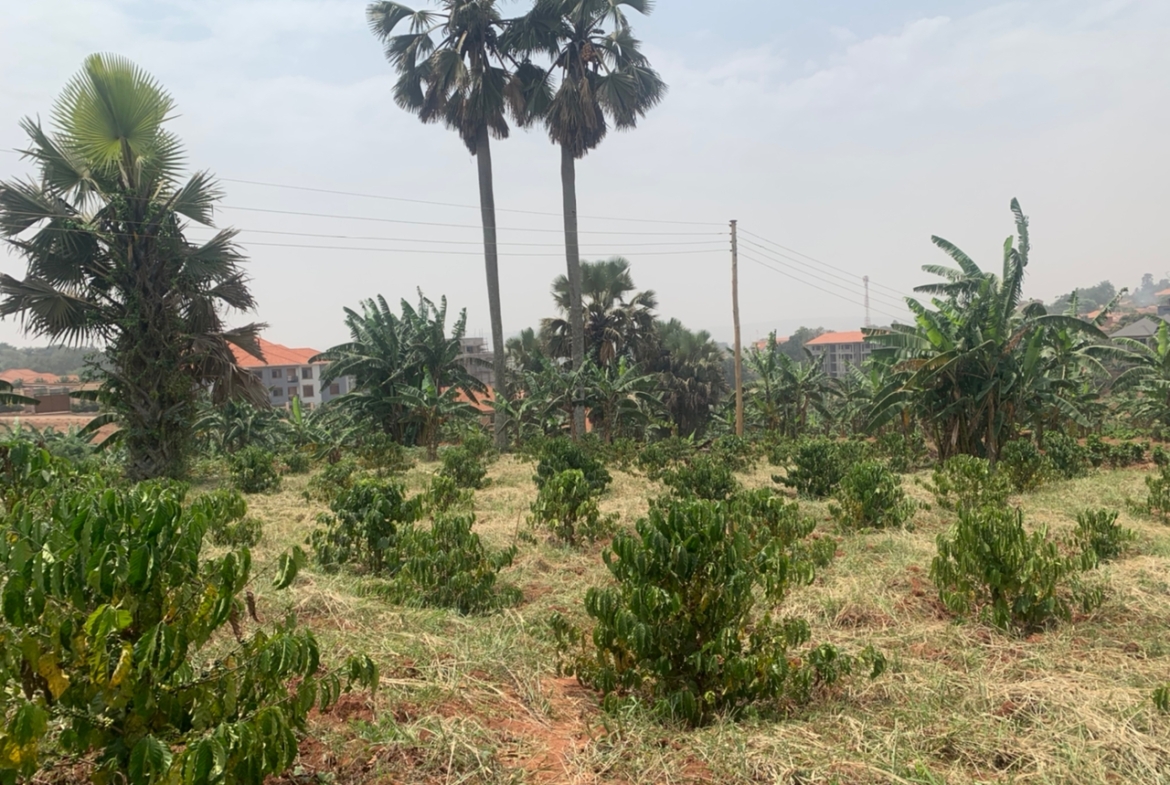 This 5 Acres land for sale in Seguku Kampala