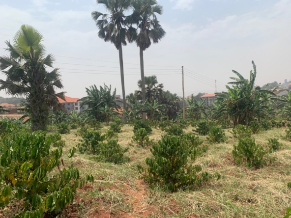 This 5 Acres land for sale in Seguku Kampala