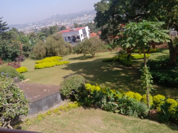 These house for sale in Kampala Muyenga 