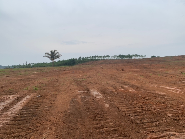 These affordable plots for sale in Sisa Nakawuka Entebbe road