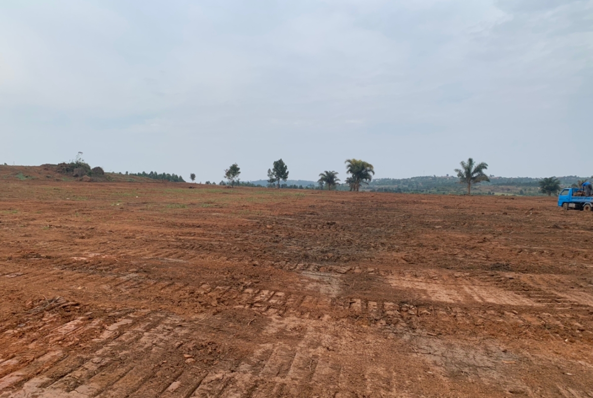 These affordable plots for sale in Sisa Nakawuka Entebbe road