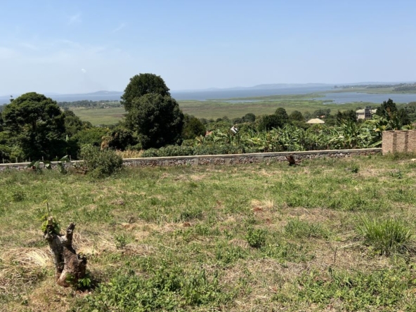 LAND FOR SALE IN LUTEMBE