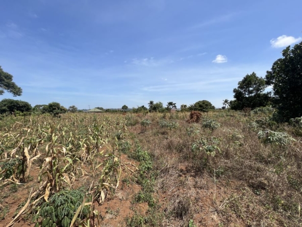 LAND FOR SALE LUTEMBE