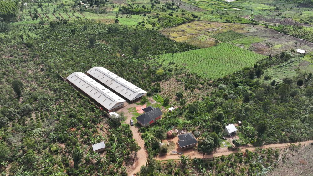 Mixed farm for sale in Kikonge Mityana road