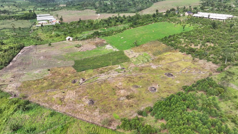 Mixed farm for sale in Kikonge Mityana road