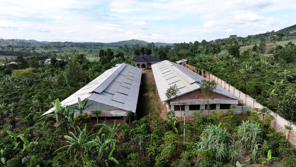 Mixed farm for sale in Kikonge Mityana road