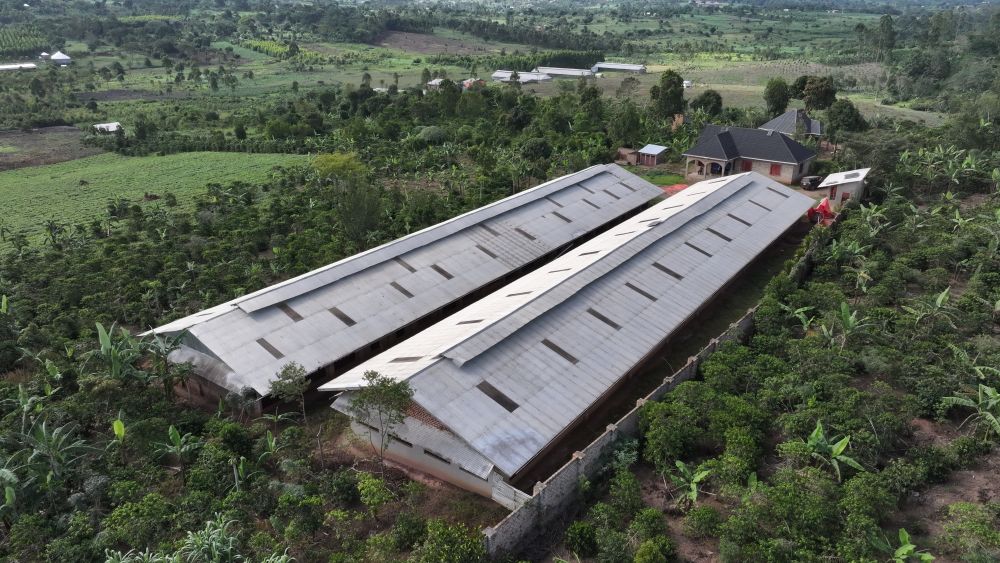 Mixed farm for sale in Kikonge Mityana road