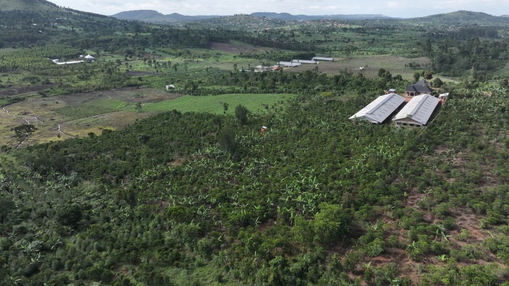 Mixed farm for sale in Kikonge Mityana road