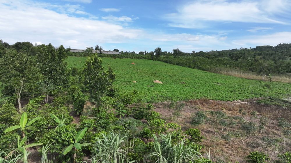 Mixed farm for sale in Kikonge Mityana road
