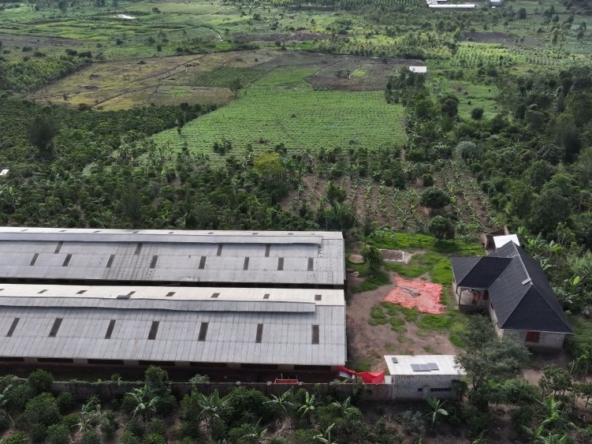 Mixed farm for sale in Kikonge Mityana road