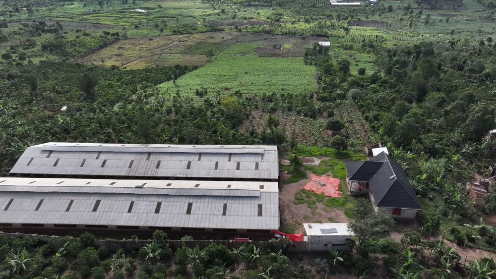 Mixed farm for sale in Kikonge Mityana road