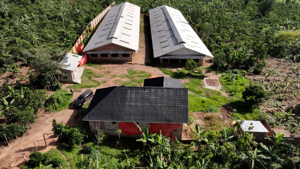 Mixed farm for sale in Kikonge Mityana road