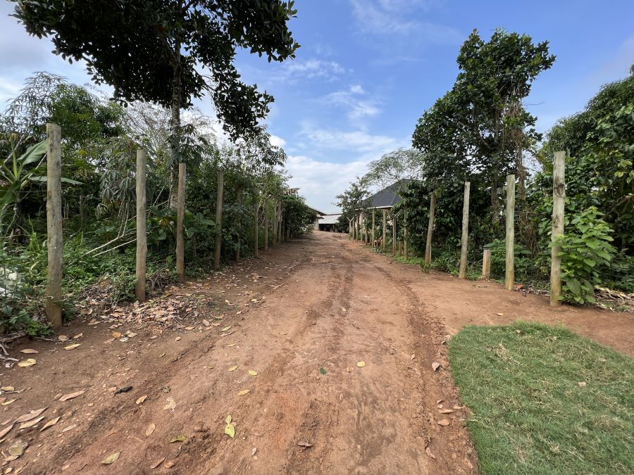 This Mixed farm for sale in Kikonge Miytana road Uganda