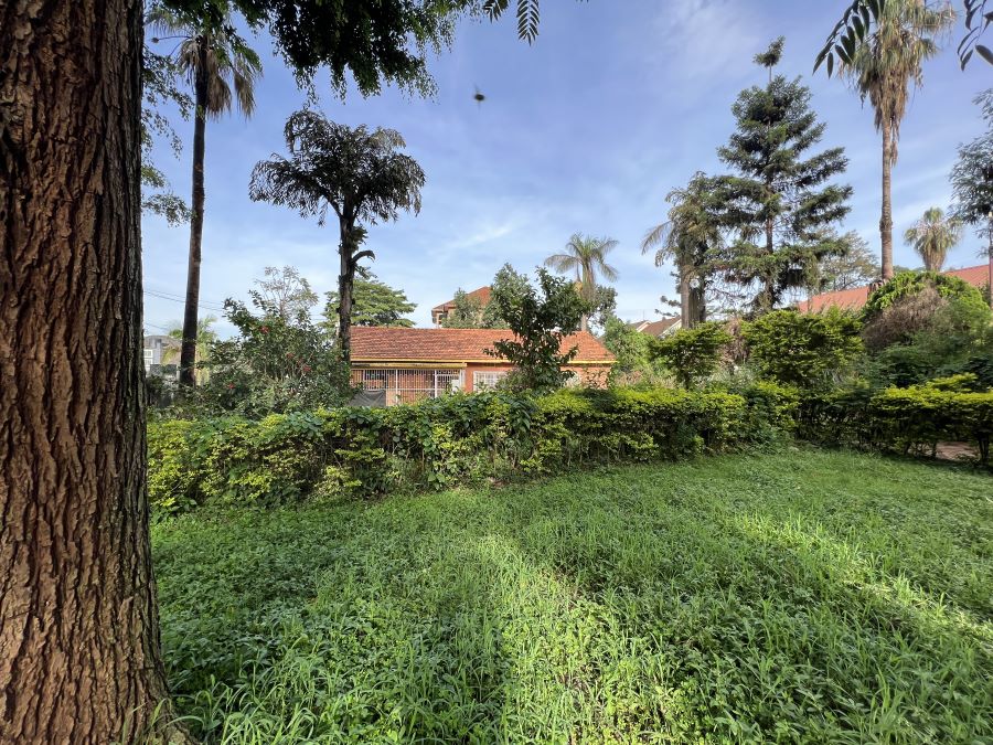 This land for sale in Bukoto Kampala
