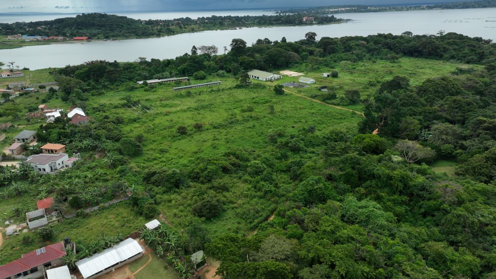 These 11 Acres Land for sale in Garuga on Entebbe road