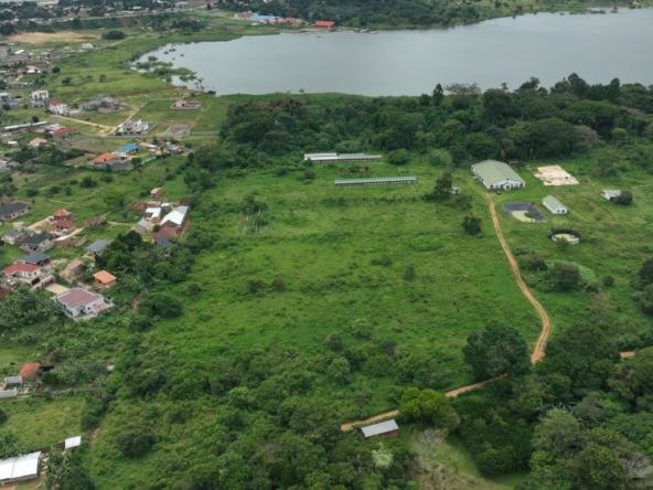 These 11 Acres Land for sale in Garuga on Entebbe road