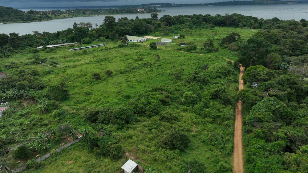 These 11 Acres Land for sale in Garuga on Entebbe road