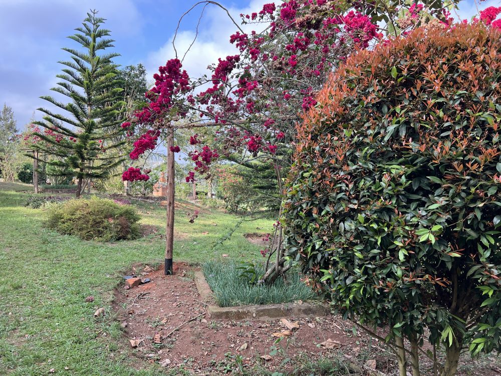 This farm for sale in Mpigi Masaka road Uganda