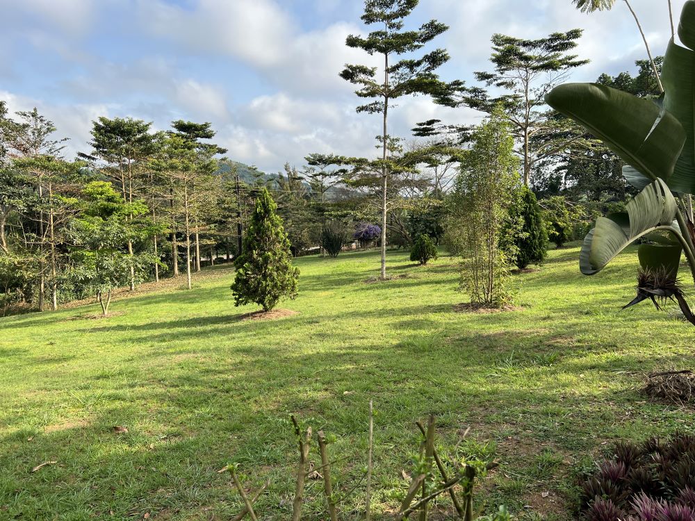 This farm for sale in Mpigi Masaka road Uganda