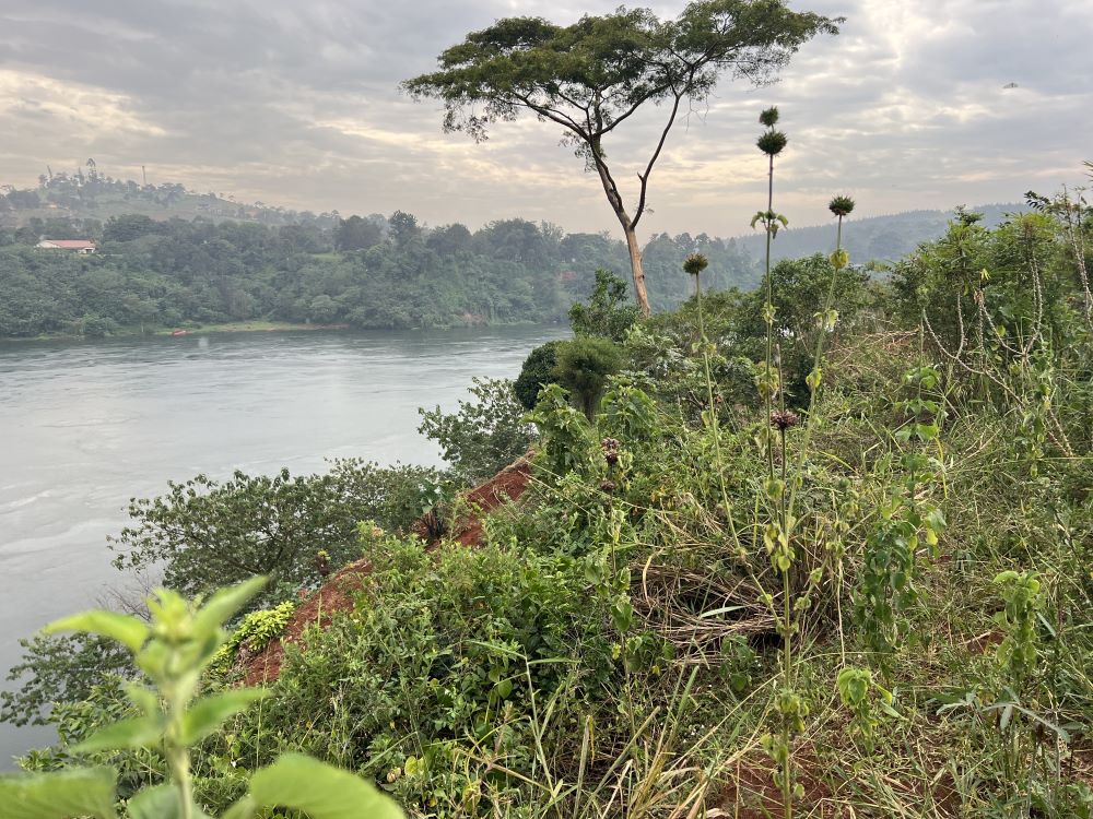 3 ACRES FOR SALE IN JINJA RIVER NILE UGANDA