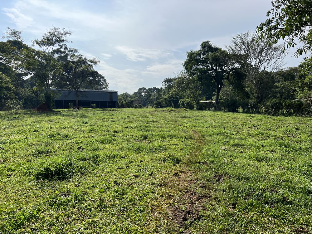 Land for sale in Nakisunga Mukono