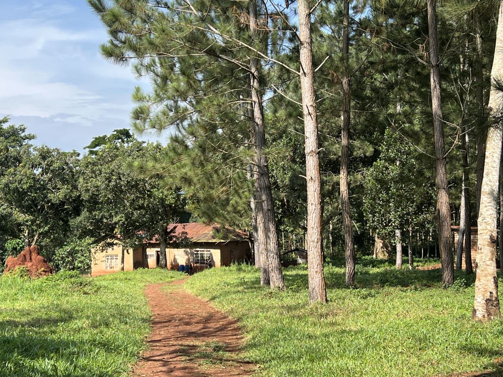 Land for sale in Nakisunga Mukono