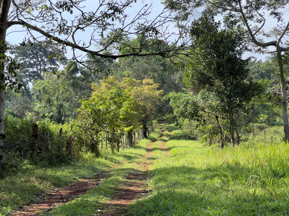 Land for sale in Nakisunga Mukono