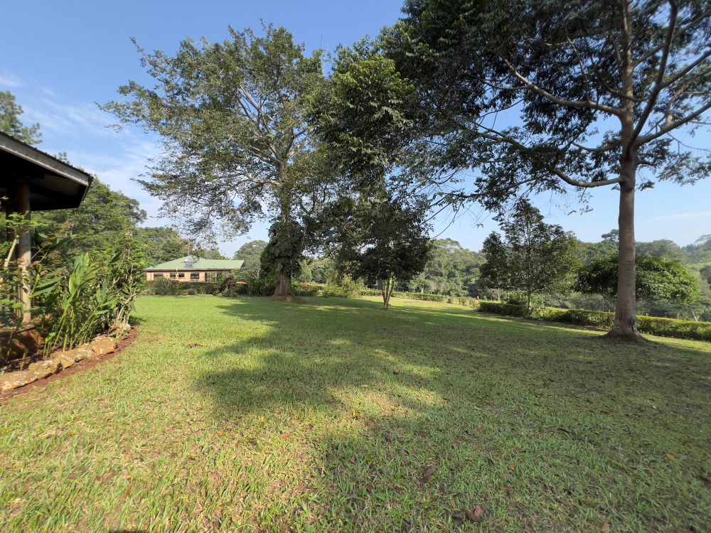 Land for sale in Nakisunga Mukono