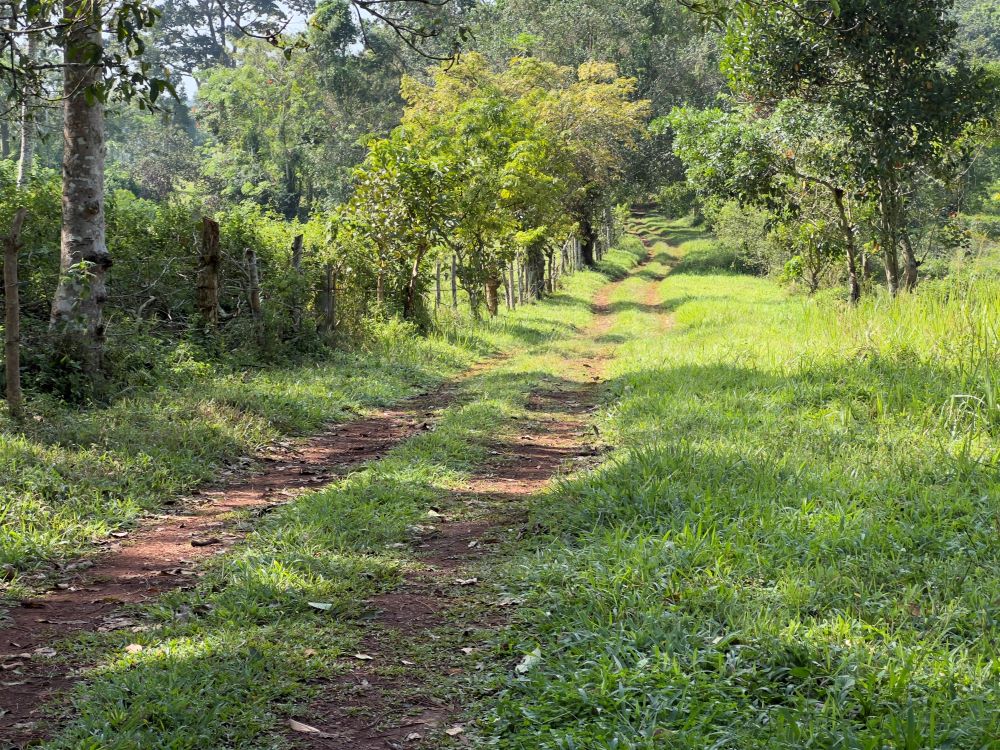 Land for sale in Nakisunga Mukono