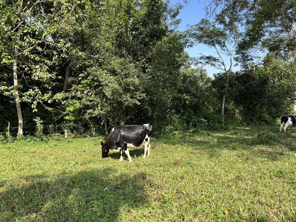 LAND FOR SALE IN NAKISUNGA MUKONO