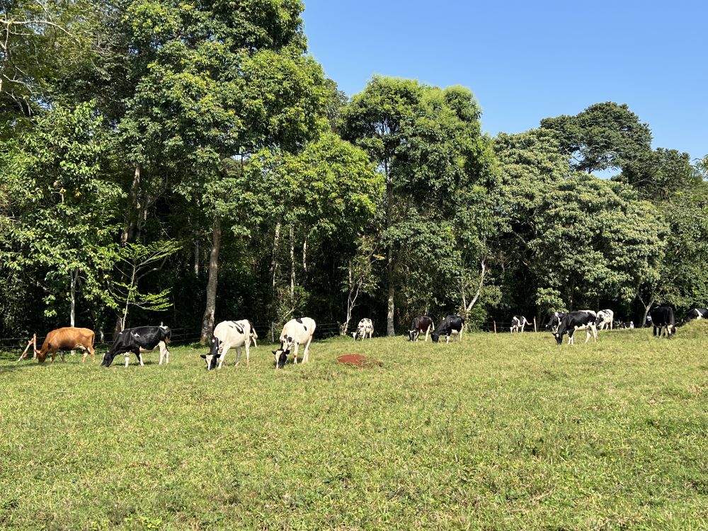 LAND FOR SALE IN NAKISUNGA MUKONO