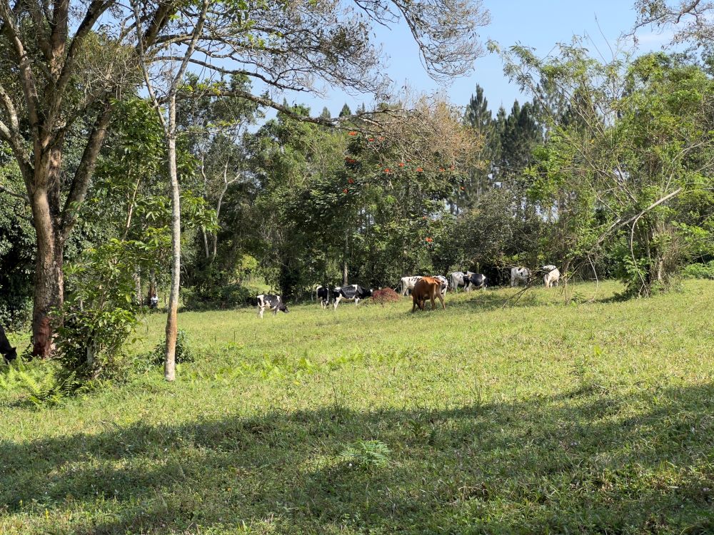 LAND FOR SALE IN NAKISUNGA MUKONO