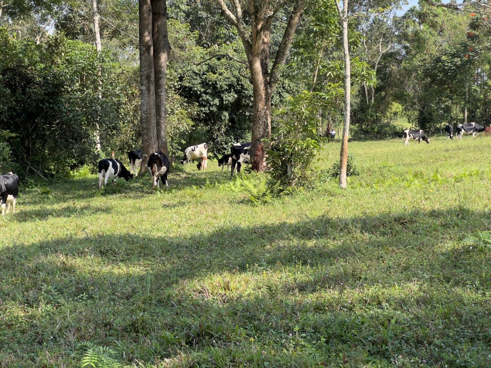 LAND FOR SALE IN NAKISUNGA MUKONO