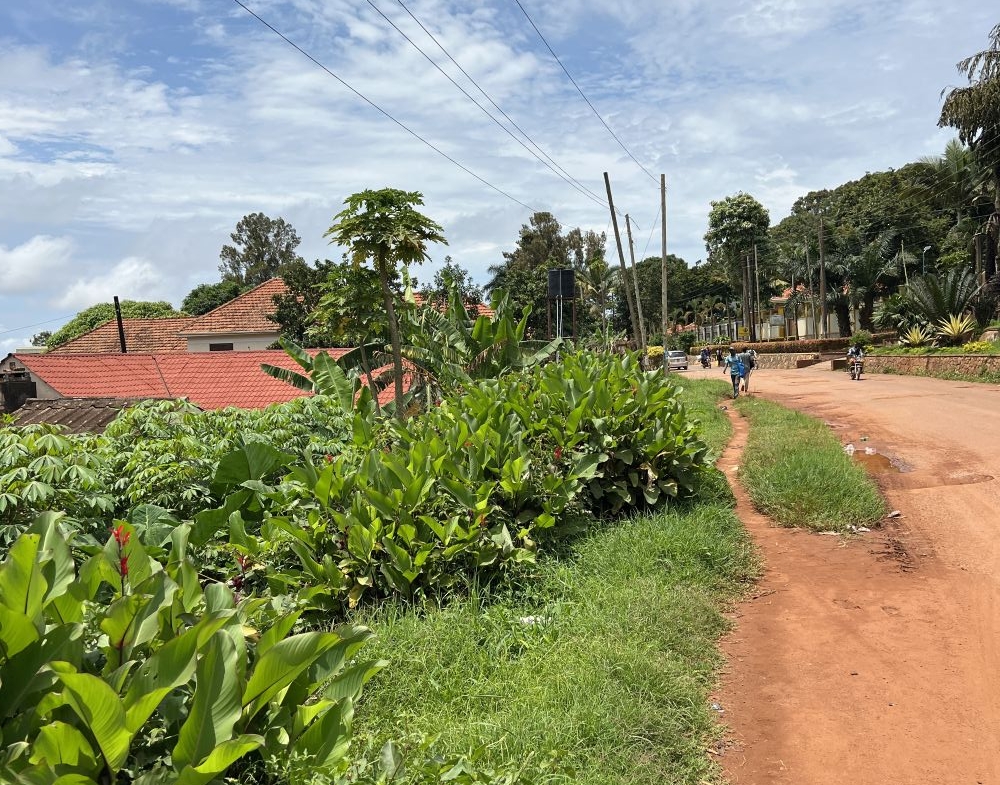 LAND FOR SALE ON NSAMIZI ROAD ENTEBBE TOWN