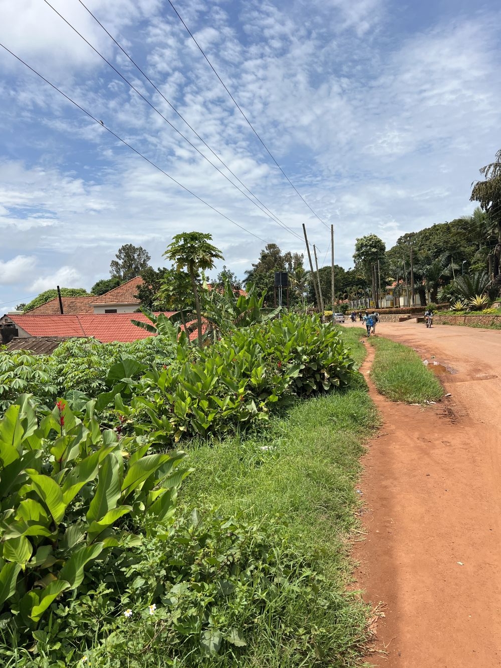 LAND FOR SALE ON NSAMIZI ROAD ENTEBBE TOWN