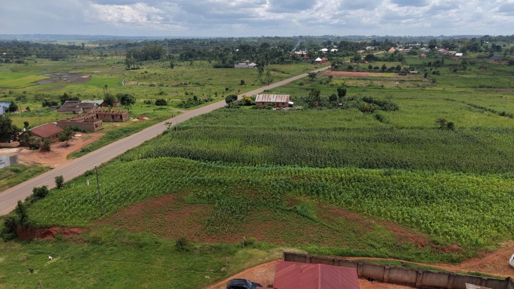 This land for sale in Nazigo Kayunga
