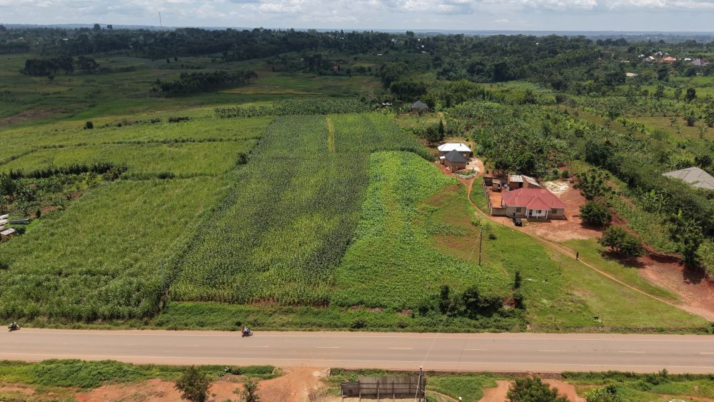 This land for sale in Nazigo Kayunga